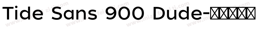Tide Sans 900 Dude字体转换